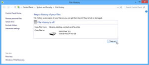 file history